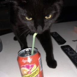 Michal-MuzaDoKajzera icon