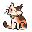 Midnight_Static-Midnight_Static_Custom_Suits icon