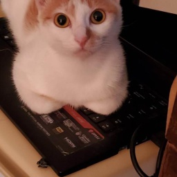 Miks_Team-Miks_Modpack icon