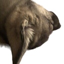 Milkmen-Milkpack icon