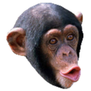 Mintoe-IIBModpack icon