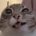 MintyFox-CloverPiss_Piss_Anywhere icon