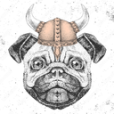 MisterPuggles-Pugheim_Server icon
