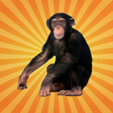 MonkeFlip-Pack_mods2monke icon
