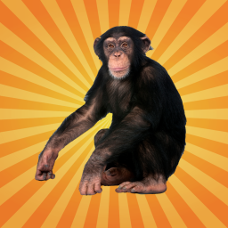 MonkeFlip-Pack_mods2monke icon