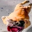 Monkegaming-Monke_Modpack icon