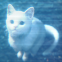 Monkeyden-Monkeydenn icon