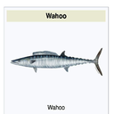 MonkeysInSpace-MonkeysfortheCompany icon