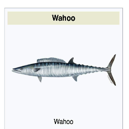 MonkeysInSpace-MonkeysfortheCompany icon