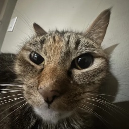 MonksProjects-Monks_Modpack icon