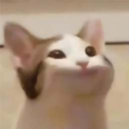 Monocle-Monocles_Suits icon