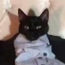 MonsieurKatte-LH_gaming_modpack icon