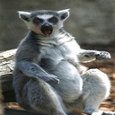 MooMac5358-MultiModapck icon