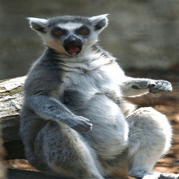 MooMac5358-MultiModapck icon