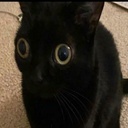 Morocks-MoronPack icon