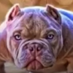 MrMistake-PimpyBapeShipIntro icon