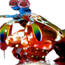 Mrdountteam-MrdountPosters icon