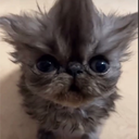 Muco-RickyoneModpack icon