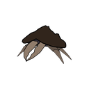 Mudcrab-MC_My_leg icon
