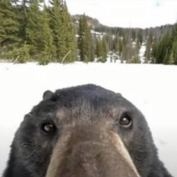 MumisGang-modpack_superfun icon