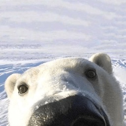 MumisGang-modpack_superfun_plus icon