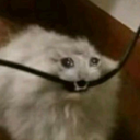 MurderAxolotl-LPAddon icon