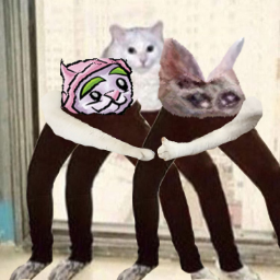 Mutini-Random_silly_cats_TV icon