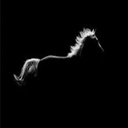 MysticallyMoot-MysticMootModpack icon