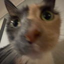 Mythionic1-Mythionic1s_Item_Names icon