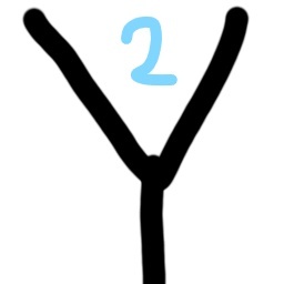 NO-Imageskintest icon