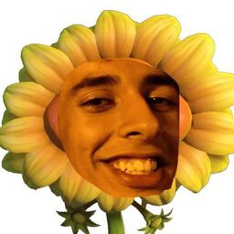 NOMAIDENS-NoMaidensMODPACK icon