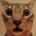 Nagioth-Jolly_Company icon