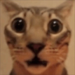 Nagioth-Jolly_Company icon