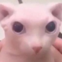 Nahora-Thunder_And_Lightning icon