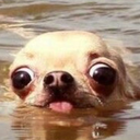 Namite-NamiteNoises icon