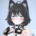 NapewnoNieAoi-Velle icon