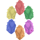 Narcopelago-Narcopelago icon