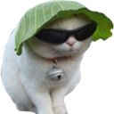 Nats-Nats_Company icon