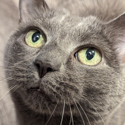 NautDotDev-Midnatlas_Modpack icon