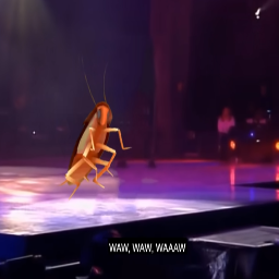 Neidhard-Spinning_Cockroach_live icon