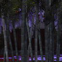 Neko35-NekoPack icon