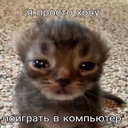 NekoCityUlimate-NekoCity icon