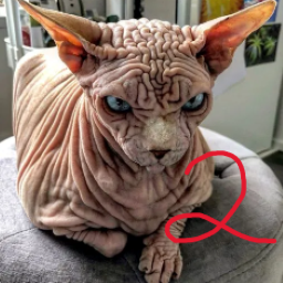 NeoCouncil-BrykesEpicerModpack icon