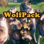 Neobotics-WolfPack-1.0.2 icon