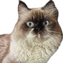 Neos-Neo_repack icon