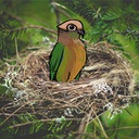 Nest-NestMods icon