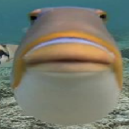 NightHunters-CardReplacer icon