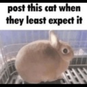 NightShiftCord-NightShift icon