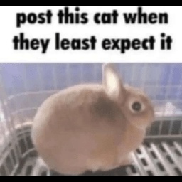 NightShiftCord-NightShift icon