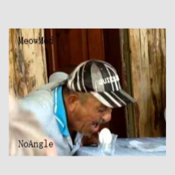 NoAngle-MeowMod icon